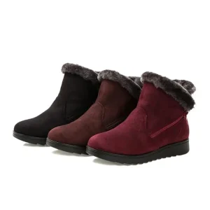 Winter Ankle Boots Women Shoes  New Fashion Non-slip Warm Plush Zipper Casual Shoes Woman Snow Boots