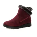 Winter Ankle Boots Women Shoes  New Fashion Non-slip Warm Plush Zipper Casual Shoes Woman Snow Boots